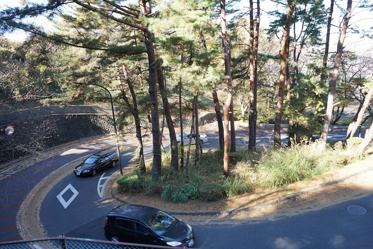 映画でも車が行き来する様子が描かれた「いろは坂」。