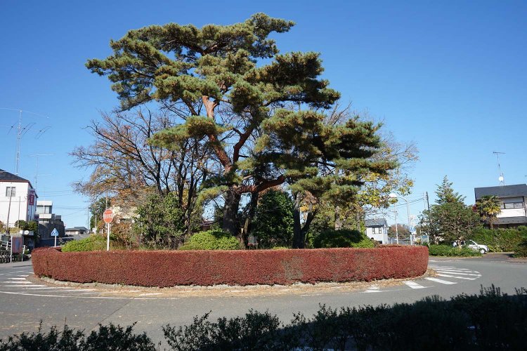 桜ヶ丘ロータリー。