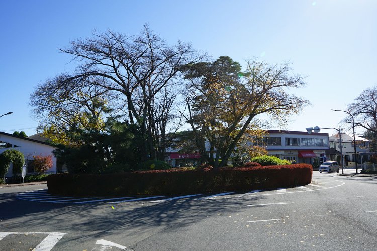 ロータリー周辺には店もあり、散歩やサイクリングを楽しむ人々も多い。