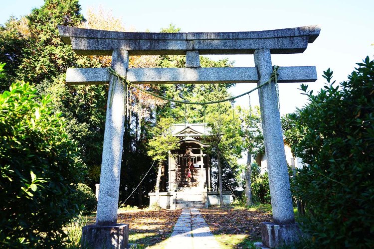 金刀比羅神社。