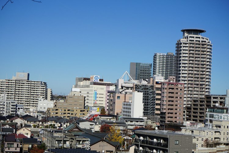 耳をすませば11