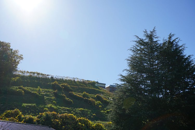 耳をすませば12