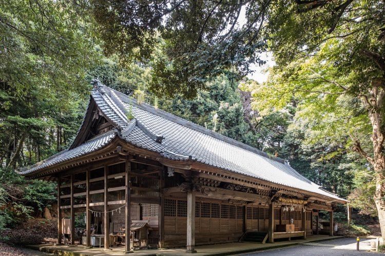石段を登りきった先に現れる社殿。裏側へ回り込めば、森を抜けて展望台広場へと続く緩やかな散策路が延びている。