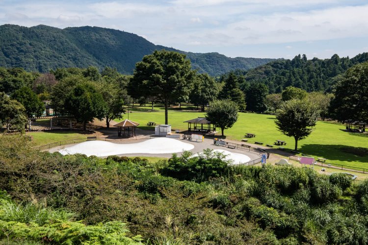 ゆったりとした園内の様子。