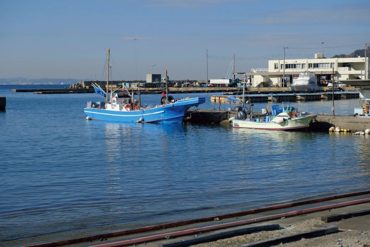 保田漁港。定置網ではイサキ、ブリアジ、サバ。イカなど、いろんな魚介が捕れるそうだ。それが「ばんや」に直行だ。