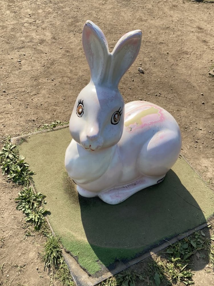 「おしゃま」という言葉がよく似合うウサギ。まつ毛のせいだろうか（府中・郷土の森公園）。