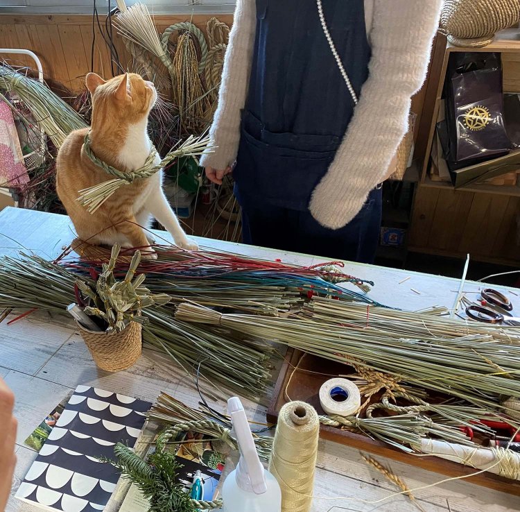 岩切さんに七島藺の輪っかをかけられる。その感触に慣れているからか、まったく嫌がらなかった。