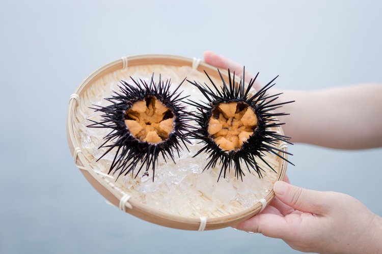 ウニ殻付き