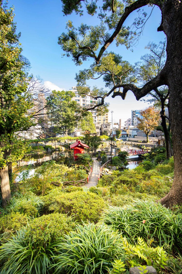 ザリガニが釣れるため小学生に大人気の須藤公園。