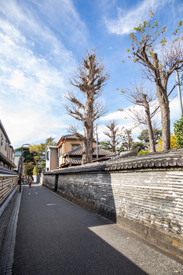 粘土と瓦を交互に積み上げて築いた観音寺の築地塀。