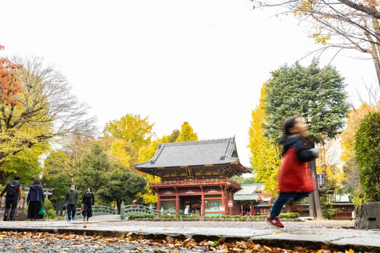 谷根千A18根津神社
