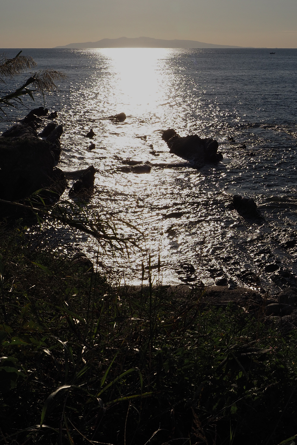 駒ヶ崎神社近くから海を眺めると、遠くに伊豆大島が見える。明治時代、マグロを追って伊豆諸島あたりまでは行ったという。