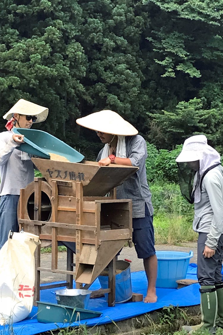 唐箕（とうみ）という中国から江戸時代に伝わった農機具。人力で風を起こして米を選別する。