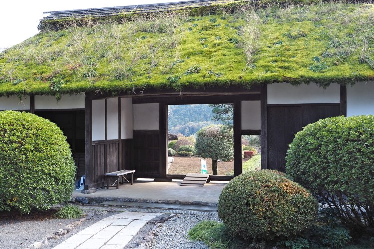 安楽寺の玄関口にはまるで草葺きのような長屋門。