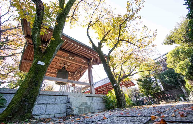 除夜の鐘で人気の鐘楼。