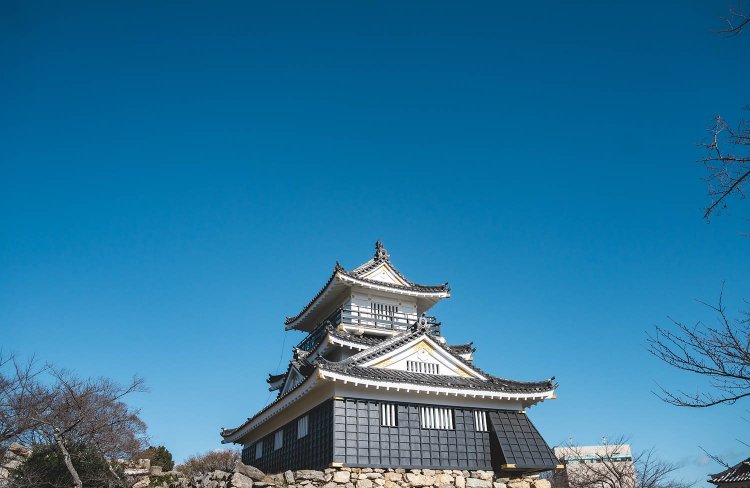 背景の空を画面に大きくとり、手前に木の枝を入れて奥行きと開放感を強調した浜松城。　撮影／ちょりんた（＠chorinta）