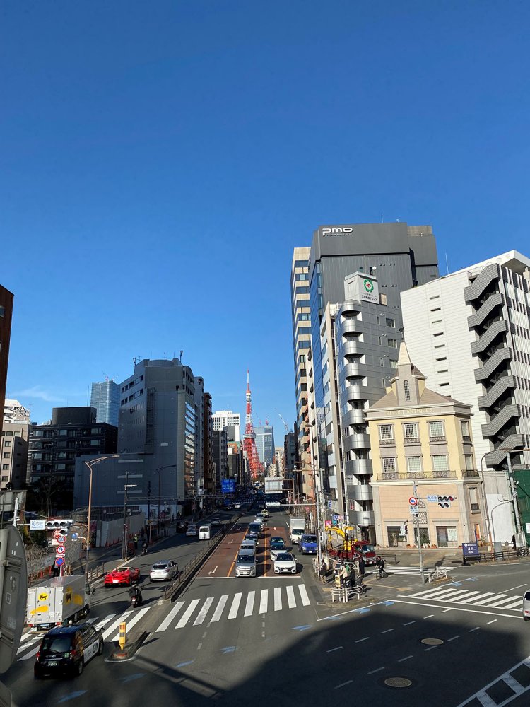歩道橋の上から撮影した東京タワー。
