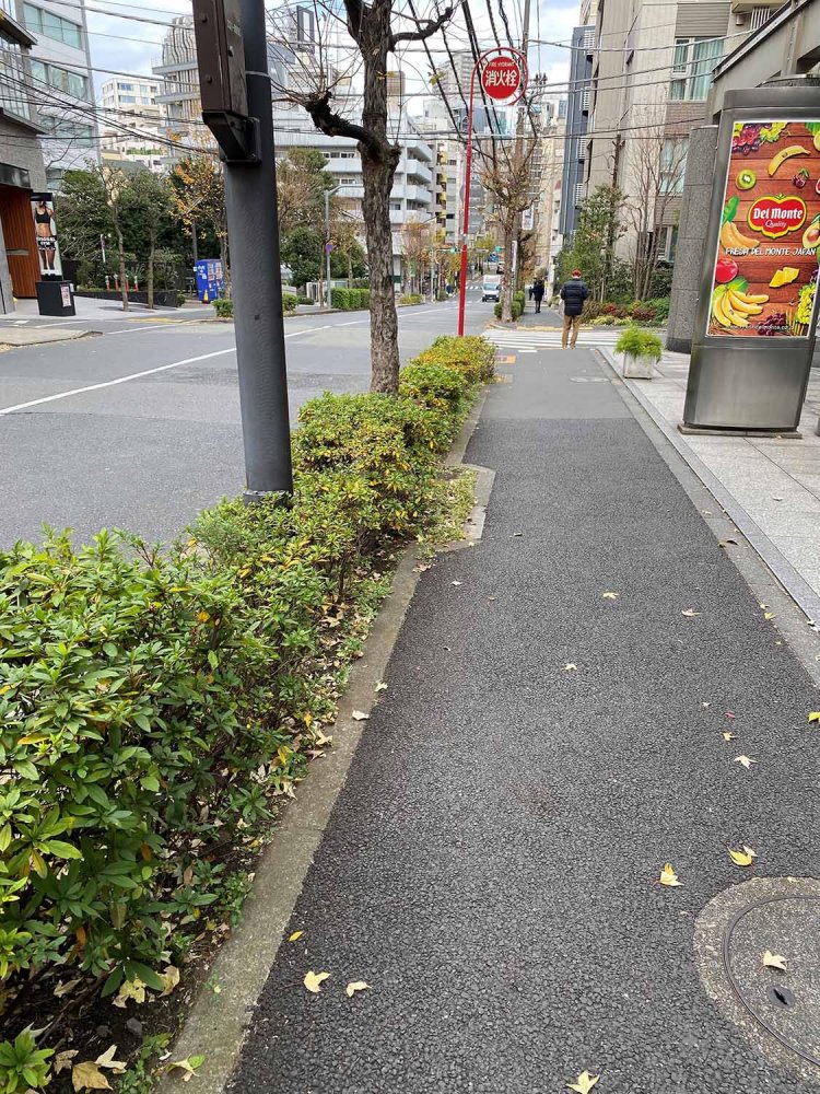 写真だと伝わりづらいが、なだらかに下っていく。