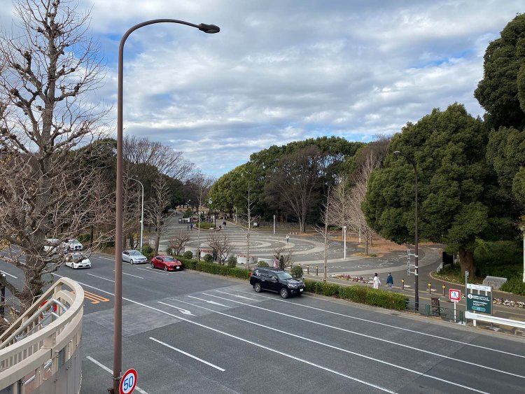 奥が代々木公園。