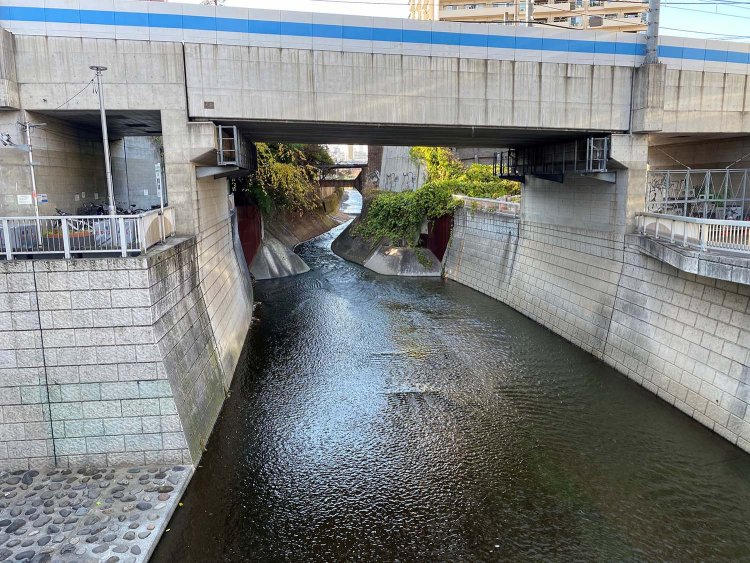 神高橋から撮影した神田川。高架上は西武新宿線が走行する。