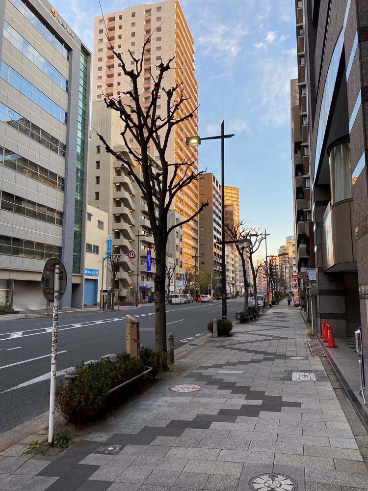 こういう道がうれしい。