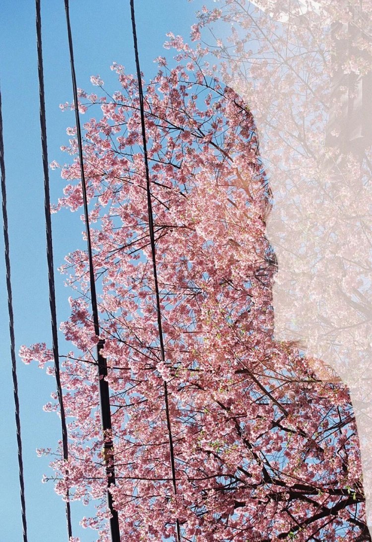 【カメラガールズ】セルフフィルムスワップ