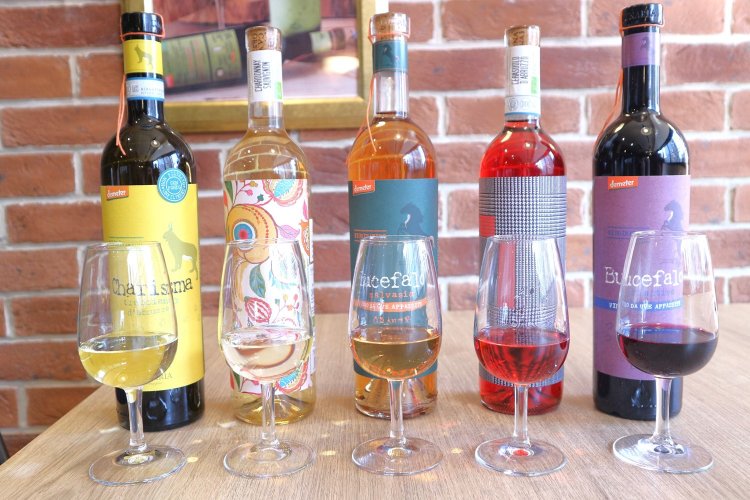 新作ワインはどれも、見た目のおしゃれさで選びたくなる魅力的なラベルデザインだ。