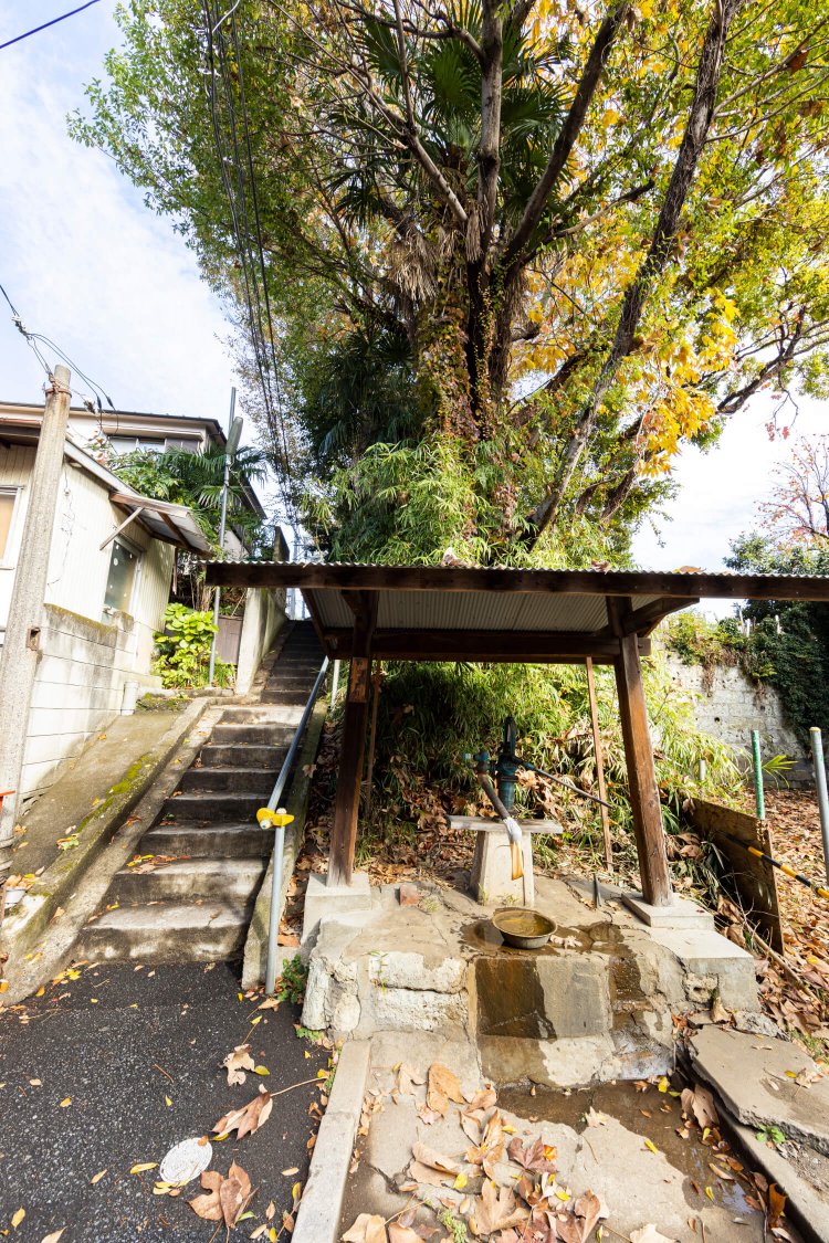 『フラワーショップ花風船』からくねくねと入り組んだ路地の先にある「野田家専用」の井戸はポンプ式で今も現役。