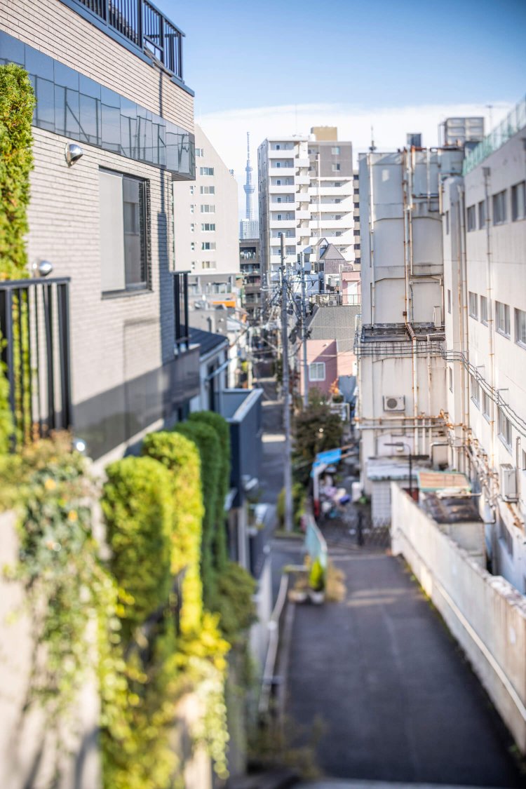千駄木1丁目と2丁目の境界にあるしろへび坂。ビルの隙間からスカイツリーが。