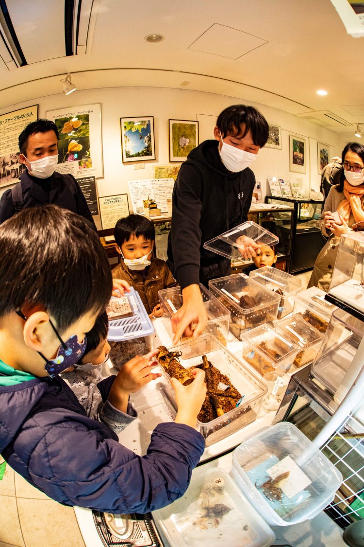「月に一回は必ず虫たちに会いに来るよ」。