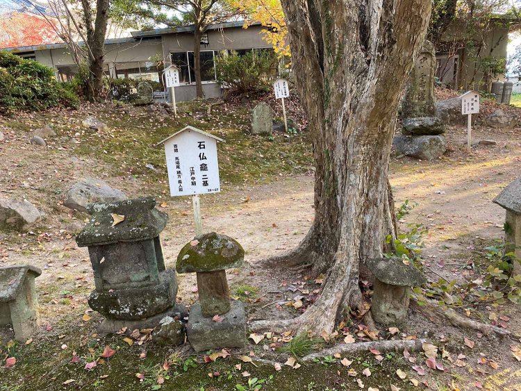 写真奥がやや盛り上がっており、かつて土塁だったことがわかるのだと、ガイドの方に教えてもらった。櫓がその上に建っていたそうだ。