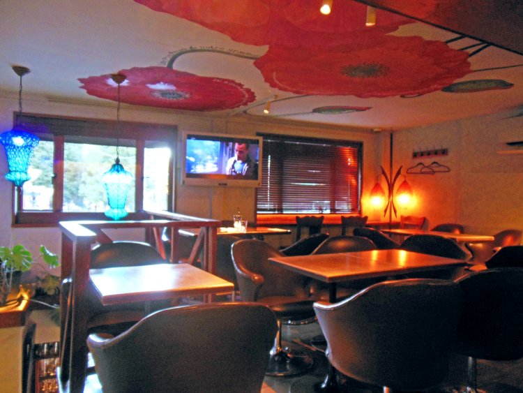 天井にヒナゲシが描かれた2階の客席。ランプの光の反射で写真ではわかりづらいが、壁は淡いエメラルドグリーンに塗られている。