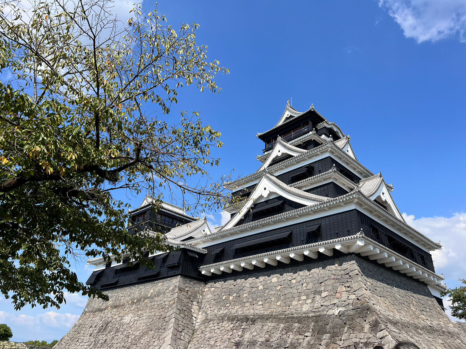 写真４熊本城天守閣、平左衛門丸方面から