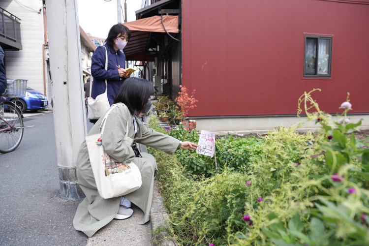根津2丁目の裏路地の空き地の片隅に小さな畑が。手書きの立て札に心躍る。
