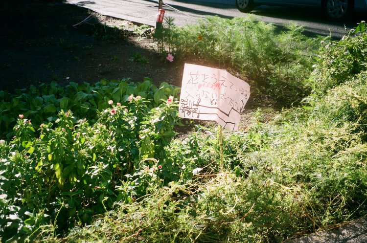 谷根千 東直子×東かほり12