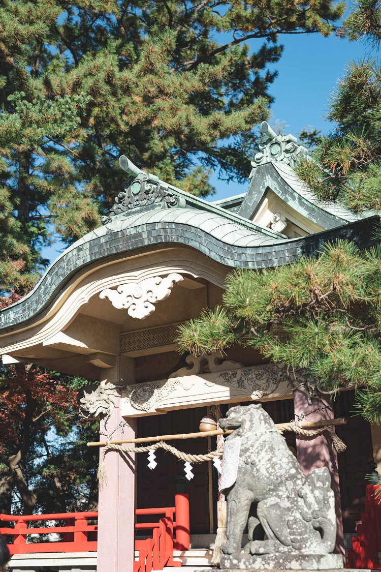 元城町東照宮の拝殿では、あえて斜めから撮影して動きを意識した。撮影／ちょりんた（＠chorinta）