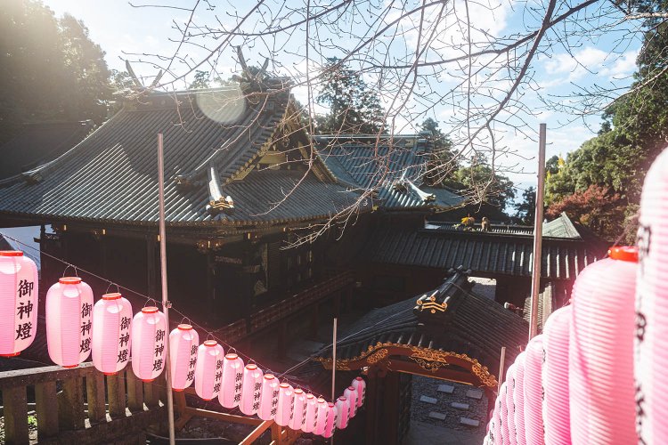 ズラリと並んだ提灯がとても印象的、とシャッターを切ったちょりんたさん。撮影／ちょりんた（＠chorinta）