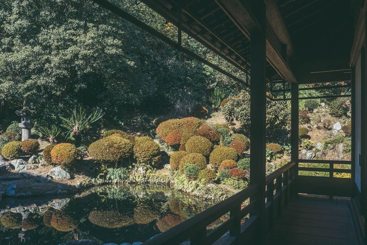 家康手植えの柏樹、命名された虎石、亀石、牛石という三名石が保存されている清見寺の庭園。撮影／ちょりんた（＠chorinta）