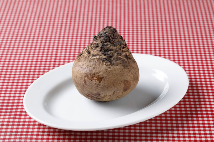 ウクライナ料理2