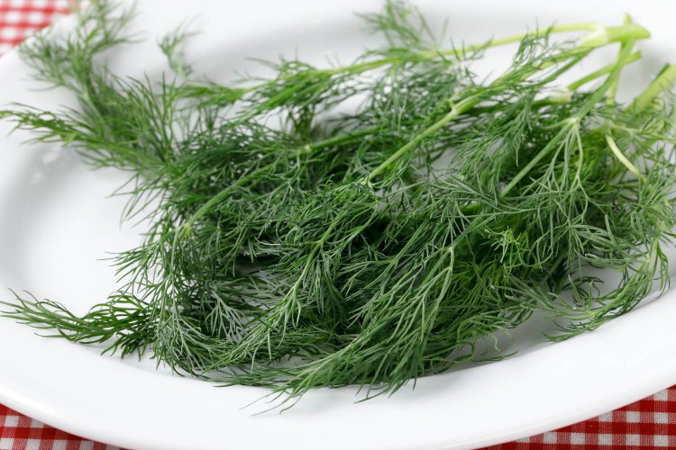 ウクライナ料理7