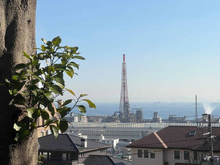 『ドルフィン』の付近からの眺め。かろうじて海が見える。