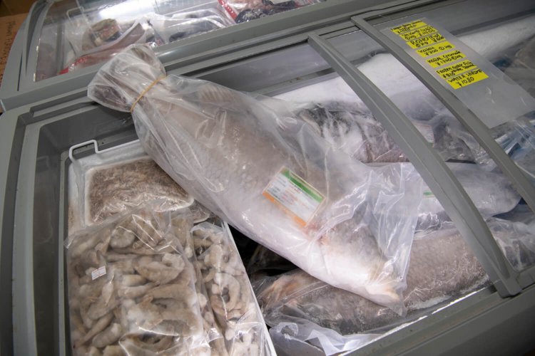 食材店には巨大魚多し！