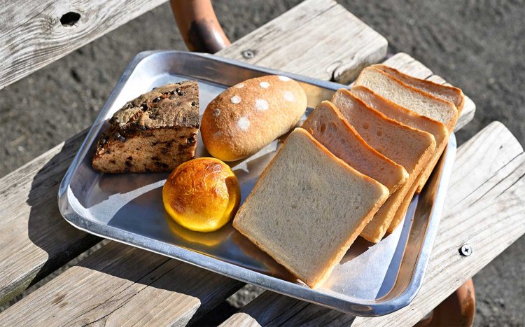 かぼちゃパン108円など。