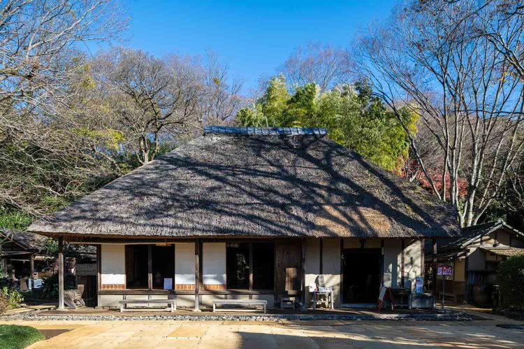 【散歩の達人】二子玉川さんぽ PART.1