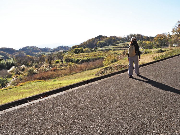 畑の展望台辺りは斜面を利用して、段々畑になっており、里山の美しい景色を眺められる。