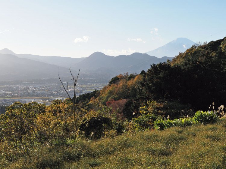 富士見塚から眺める富士山。展望台広場にはトイレとベンチがあり、ゆっくり休憩できる。