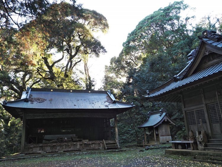 急な階段を登り、境内へ。社殿の背後にも広大な常緑樹の森が続く。森を周遊できるコースもある。