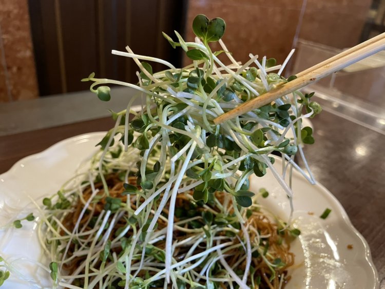 たっぷりと乗ったカイワレ大根。