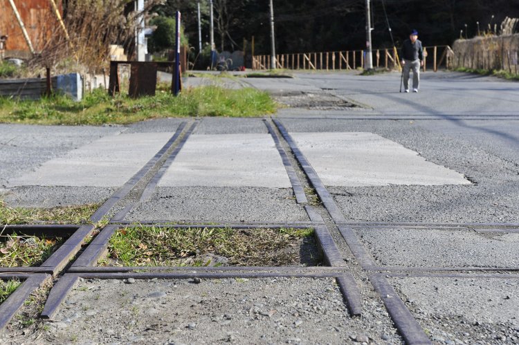 屈んでみた。ロの形状が美しい。ローアングルで愛でる。