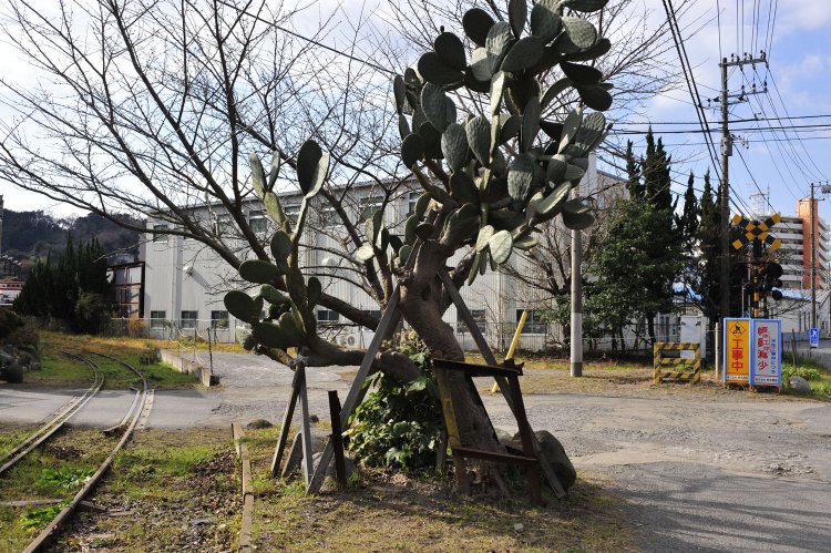 十字交差部分の踏切は片分岐の線路があった（写真左端）。貨物線廃止まではここにスイッチャーと呼ばれる入換機関車が2両止まっていたという。